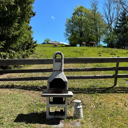 Stroblalm - Mit Panoramablick * Aich (Styria)