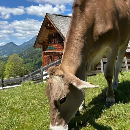 Stroblalm - Mit Panoramablick Chalet